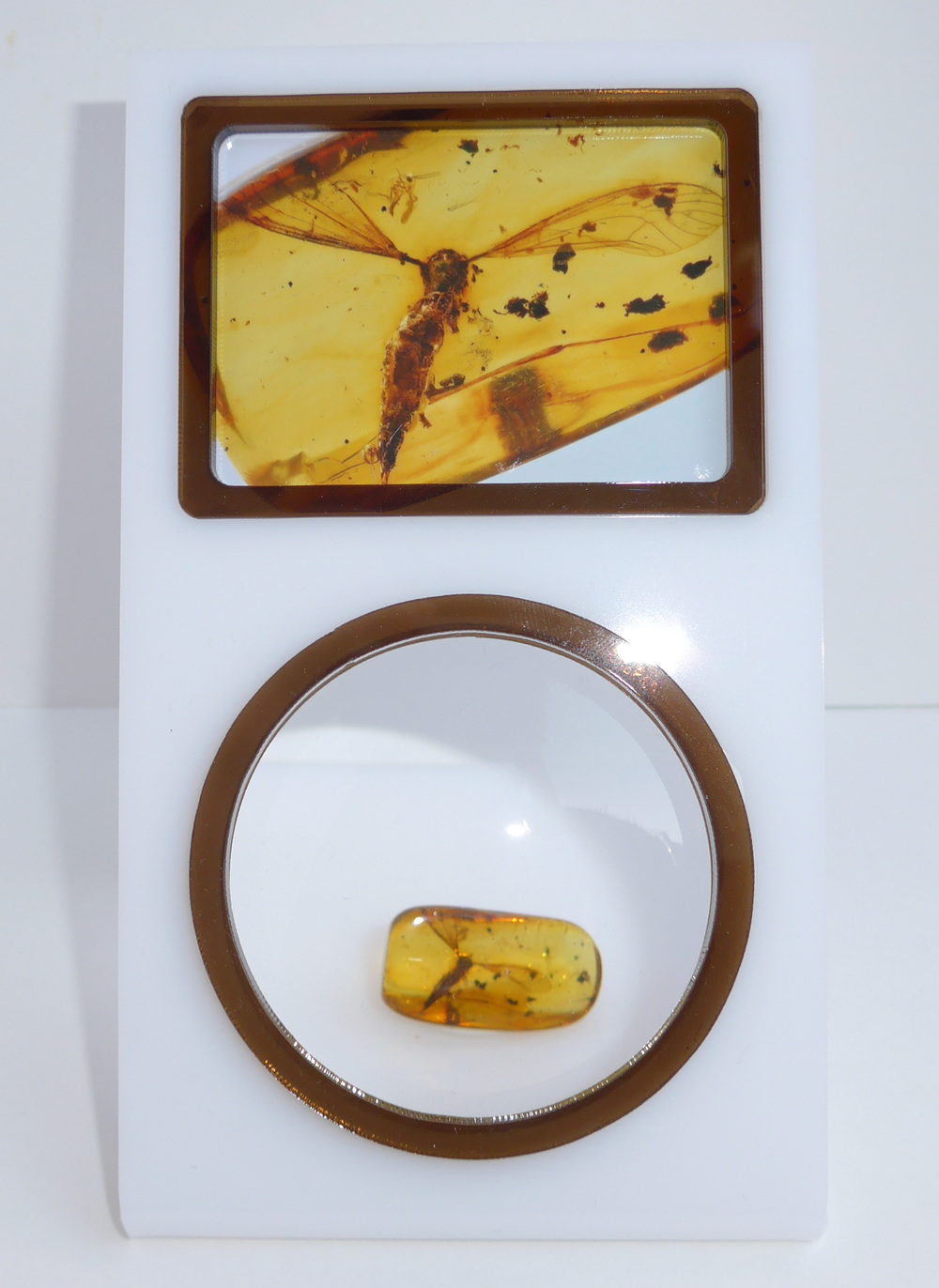 Bernstein Inkluse mit Einschluss