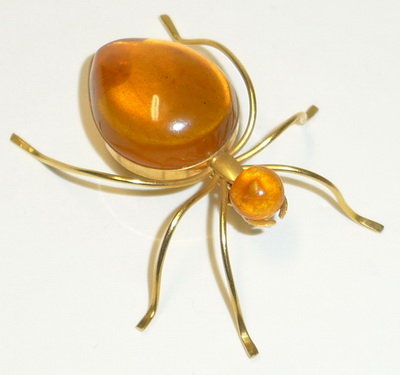kleine Bernstein Spinne