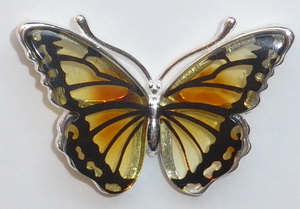 amber butterfly